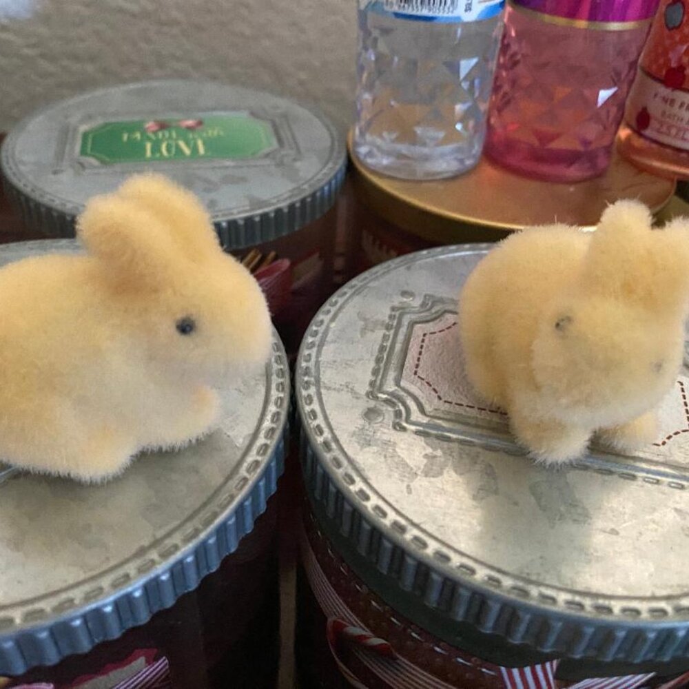 BBW Spring Bunnies & Chicks Magnetic Candle Toppers - Picture 2 of 5